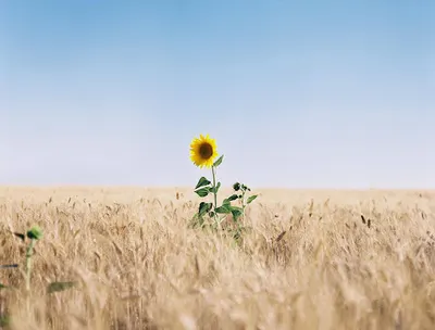 Psycholog Marta Bogunia